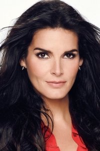 الممثل Angie Harmon