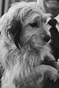 الممثل Benjean