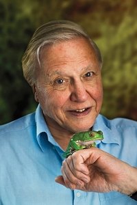 الممثل David Attenborough