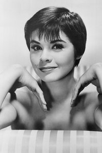 الممثل Neile Adams