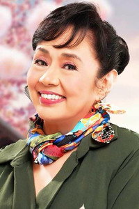 الممثل Vilma Santos