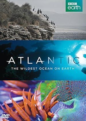 فيلم Atlantic The Wildest Ocean on Earth 2015 مترجم - باهي فيلم