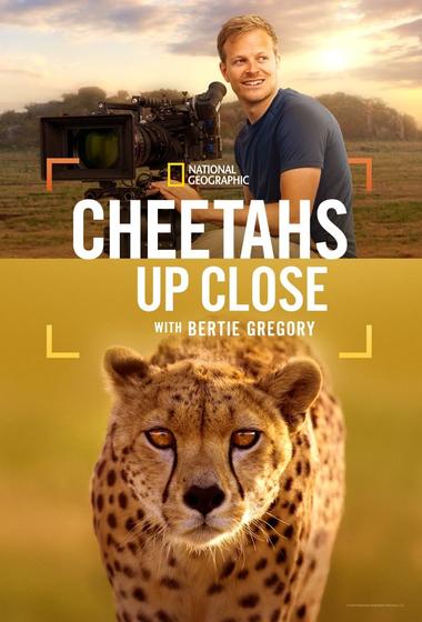 فيلم Cheetahs Up Close with Bertie Gregory 2026 مترجم
