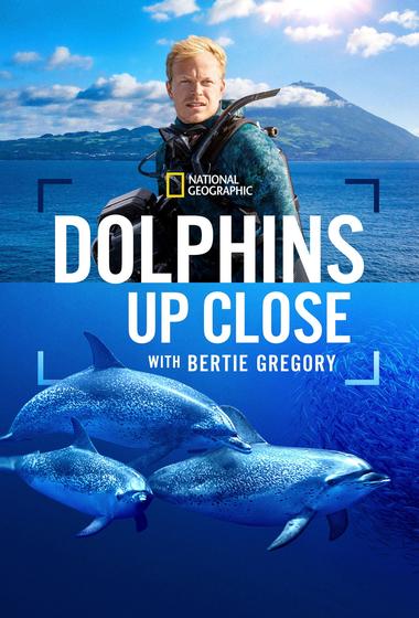 فيلم Dolphins Up Close with Bertie Gregory 2025 مترجم