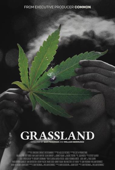 فيلم Grassland 2025 مترجم