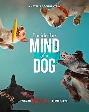 فيلم Inside the Mind of a Dog 2024 مترجم - باهي فيلم