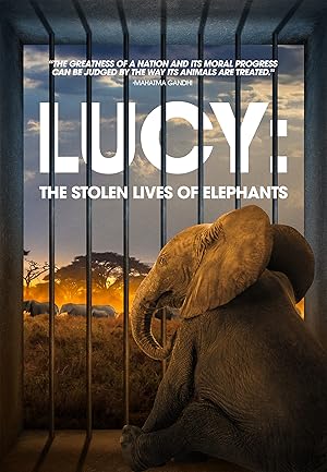 فيلم Lucy The Stolen Lives of Elephants 2025 مترجم - باهي فيلم