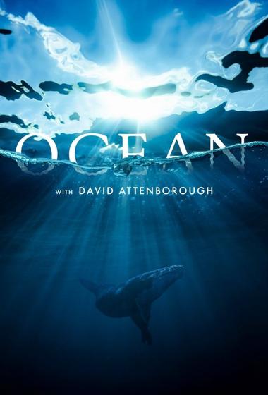 فيلم Ocean with David Attenborough 2025 مترجم - باهي فيلم