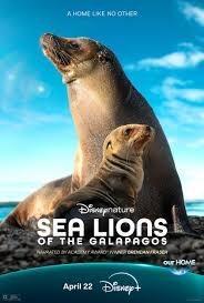 فيلم Sea Lions of the Galapagos 2025 مترجم - باهي فيلم