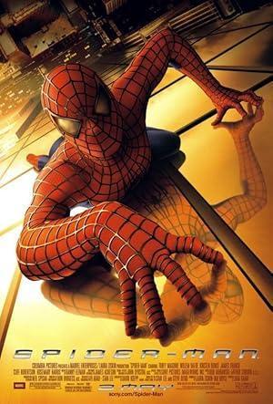 فيلم Spider-Man 2002 مترجم - باهي فيلم