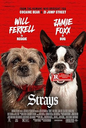 فيلم Strays 2023 مترجم - باهي فيلم