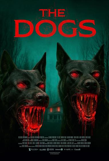 فيلم The Dogs 2025 مترجم - باهي فيلم