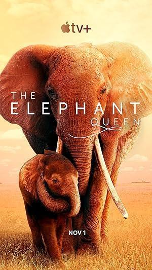 فيلم The Elephant Queen 2018 مترجم - باهي فيلم