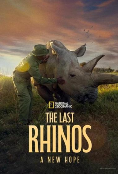 فيلم The Last Rhinos: A New Hope 2025 مترجم