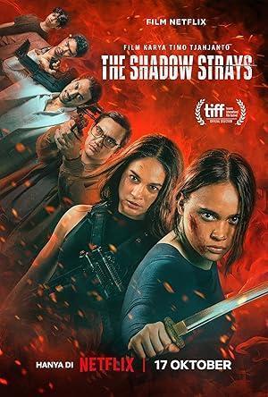 فيلم The Shadow Strays 2024 مترجم - باهي فيلم