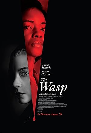 فيلم The Wasp 2024 مترجم - باهي فيلم
