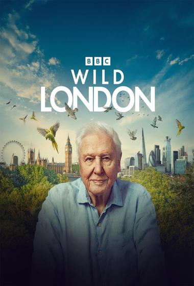 فيلم Wild London 2026 مترجم - باهي فيلم