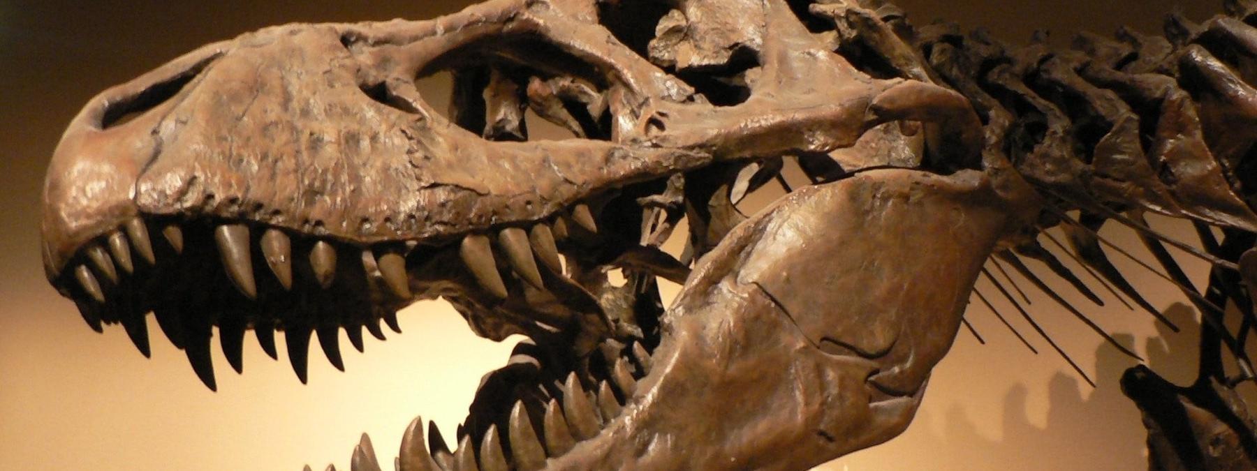 غلاف فيلم 100 Million BC 2008 مترجم