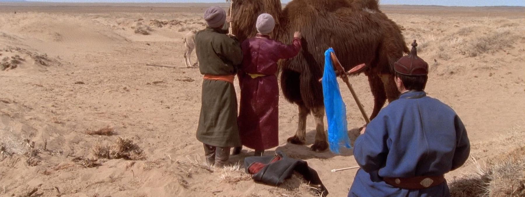 غلاف فيلم 11:14 2003 مترجم