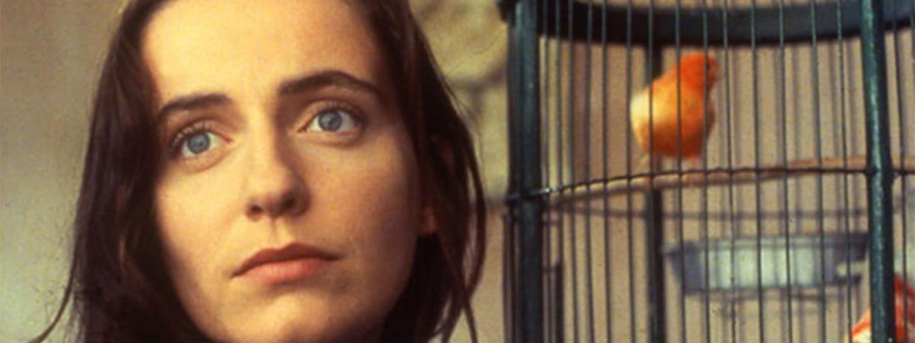 غلاف فيلم Abraham's Valley 1993 مترجم