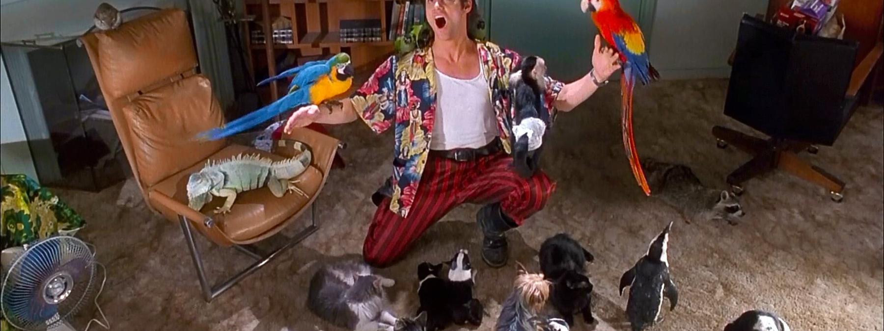 غلاف فيلم Ace Ventura Pet Detective 1994 مترجم