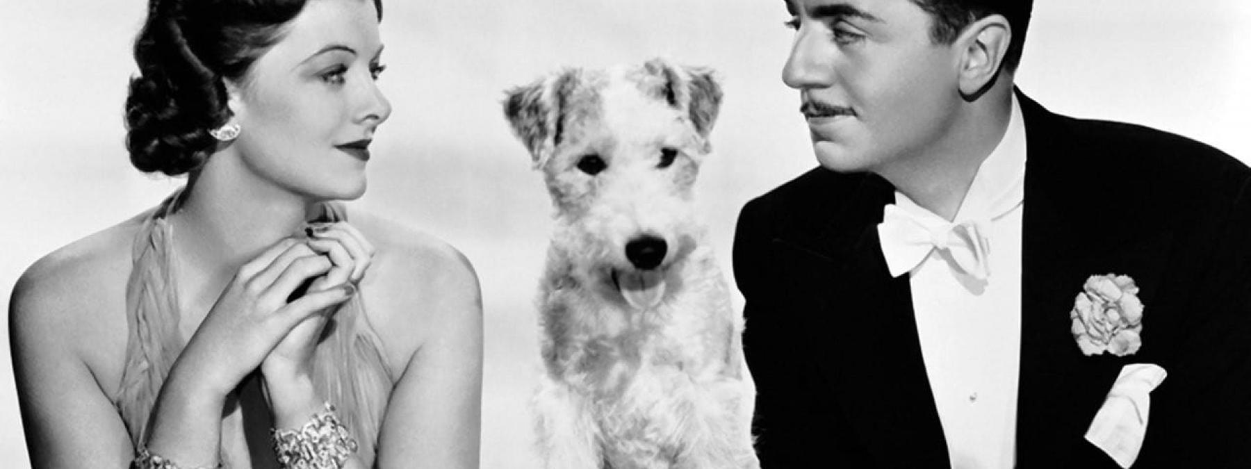 غلاف فيلم After the Thin Man 1936 مترجم