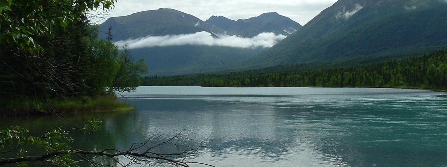 غلاف فيلم Alone in the Wilderness 2004 مترجم