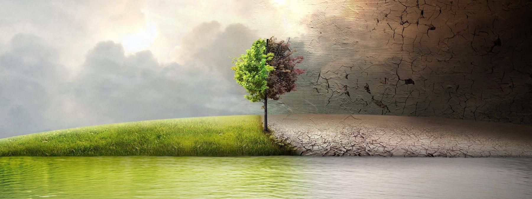 غلاف فيلم Before the Flood 2016 مترجم