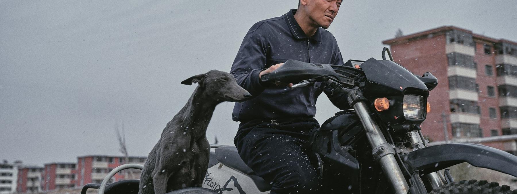 غلاف فيلم Black Dog 2024 مترجم