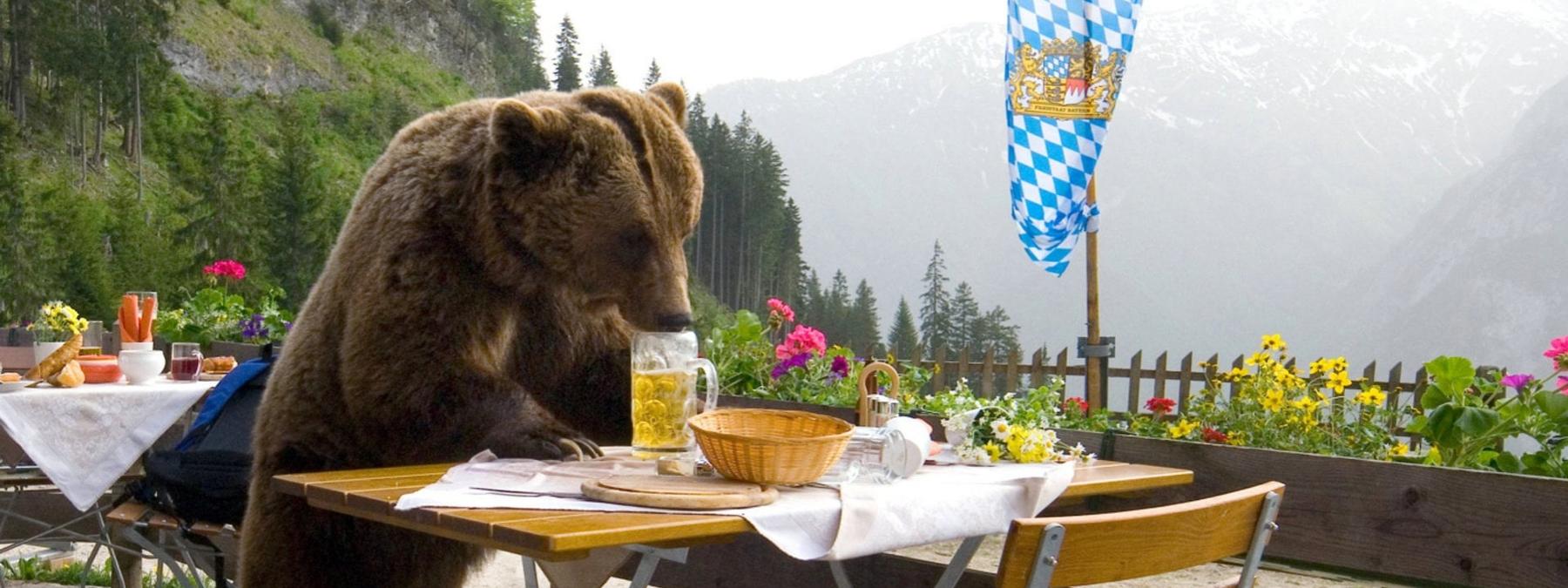 غلاف فيلم Bruno 2009 مترجم