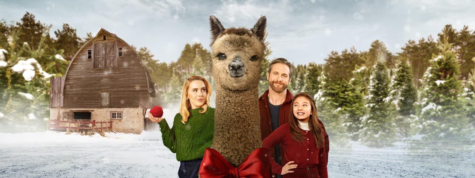 غلاف فيلم Christmas on the Alpaca Farm 2023 مترجم