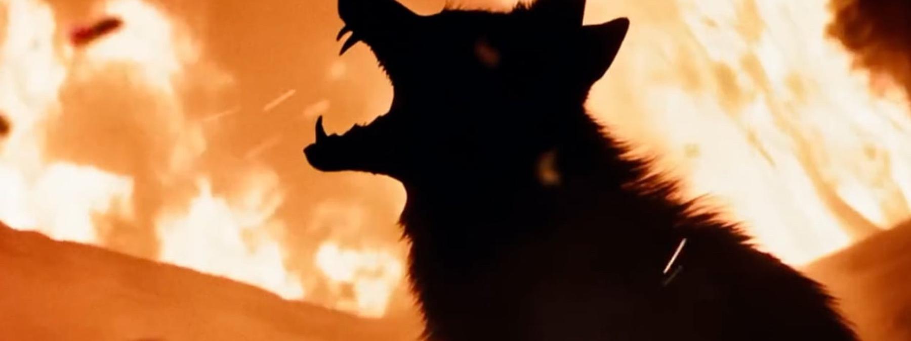 غلاف فيلم Coyotes 2025 مترجم