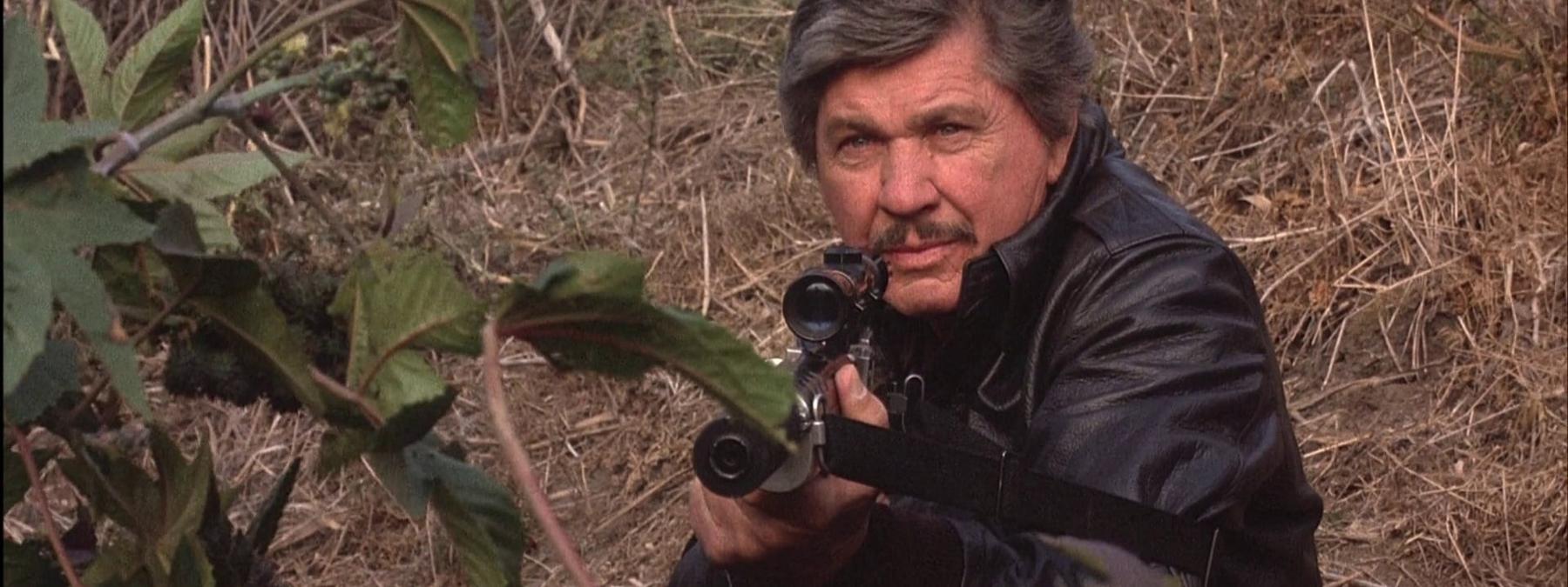 غلاف فيلم Crackcoon 2024 مترجم