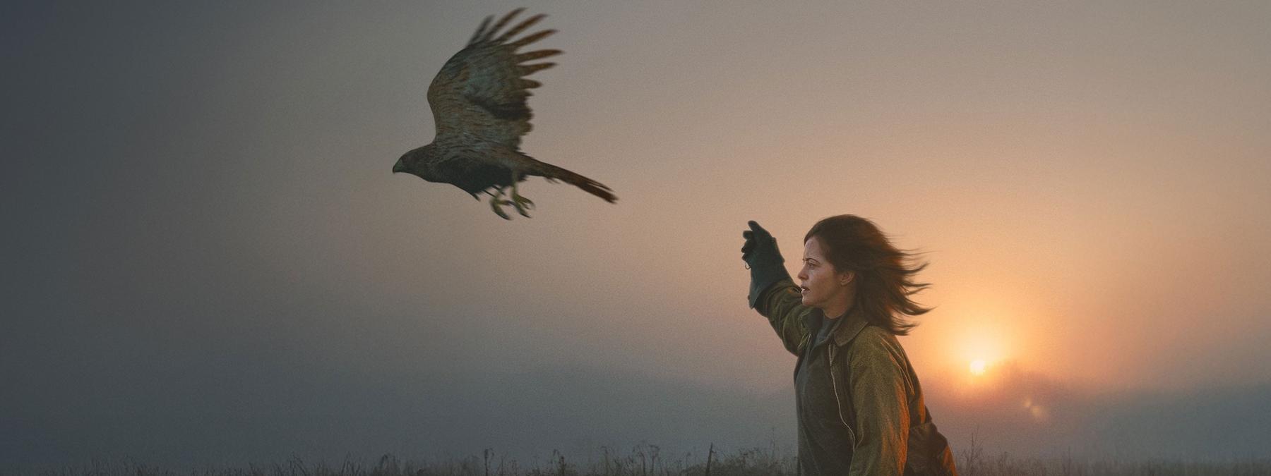 غلاف فيلم H Is for Hawk 2025 مترجم