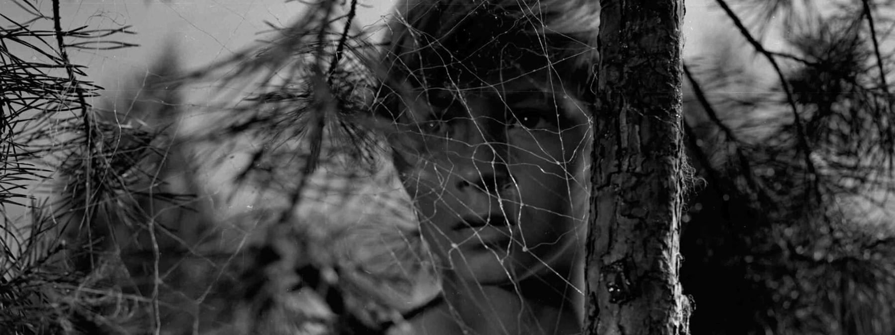 غلاف فيلم Ivan's Childhood 1962 مترجم