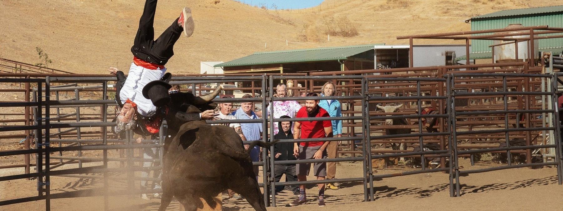 غلاف فيلم Jackass Forever 2022 مترجم