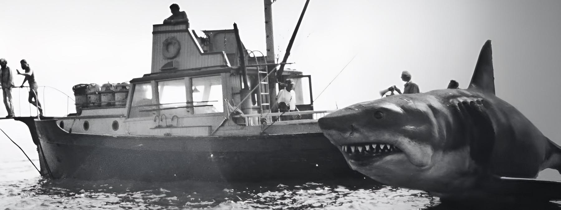 غلاف فيلم Jaws 50 The Definitive Inside Story 2025 مترجم