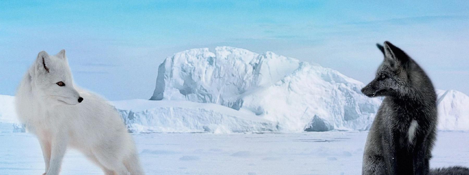 غلاف فيلم  Kina & Yuk 2023 مترجم