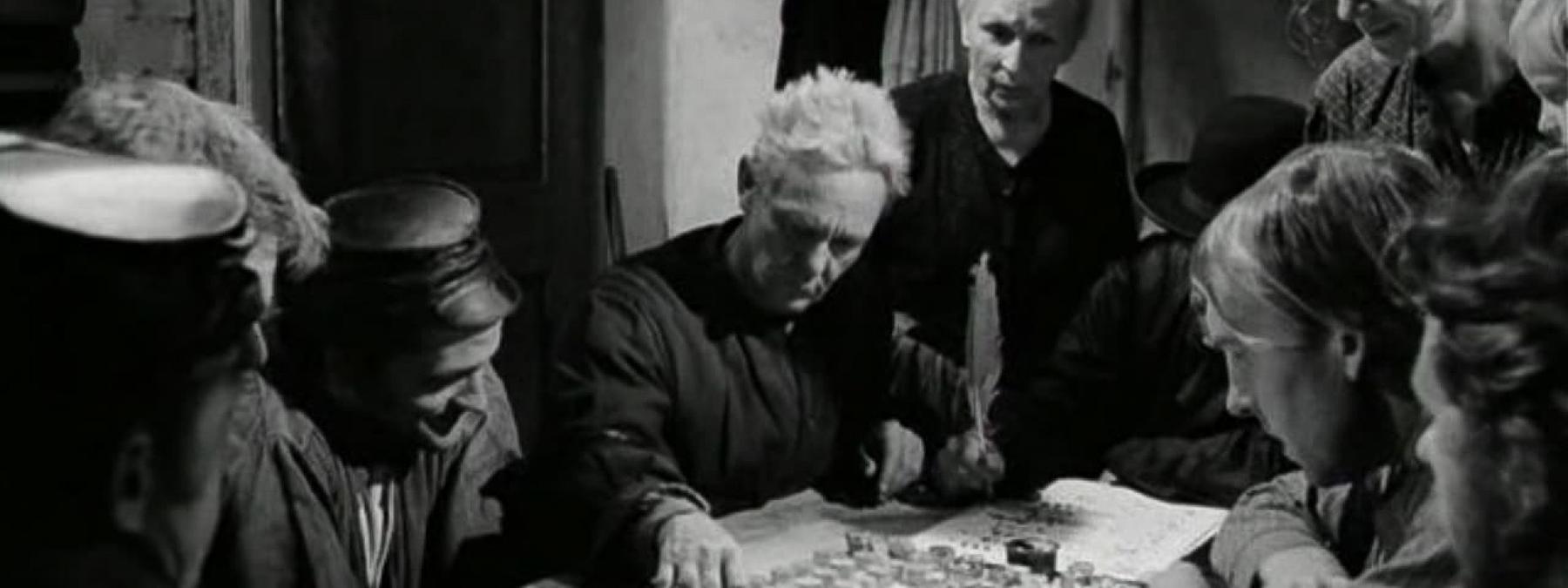 غلاف فيلم Kombucha 2025 مترجم