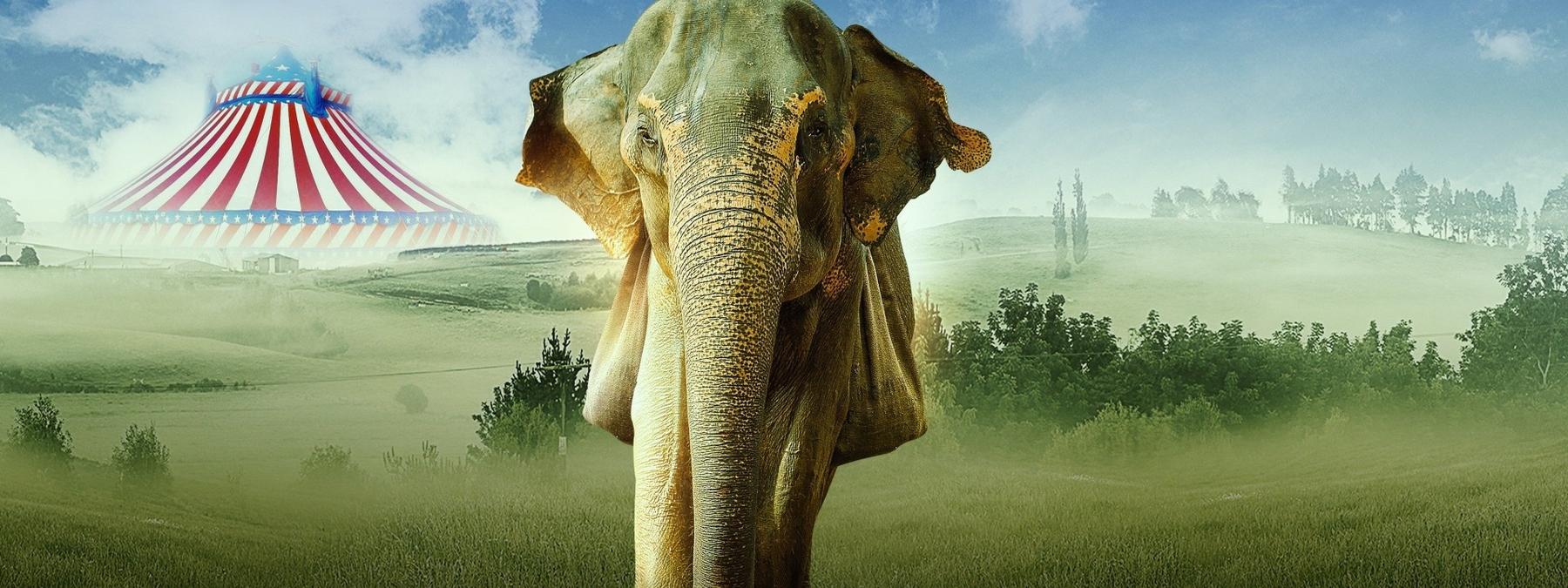 غلاف فيلم Saving Flora 2019 مترجم