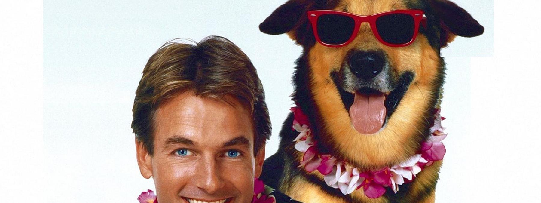 غلاف فيلم Summer School 1987 مترجم