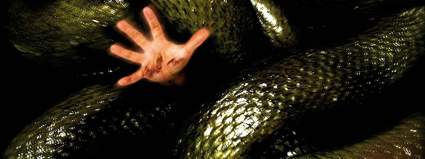 غلاف فيلم The Anacondas 2025 مترجم