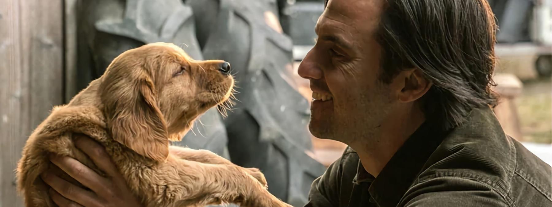 غلاف فيلم The Art of Racing in the Rain 2019 مترجم