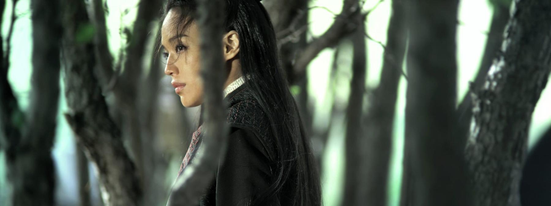 غلاف فيلم The Assassin 2015 مترجم