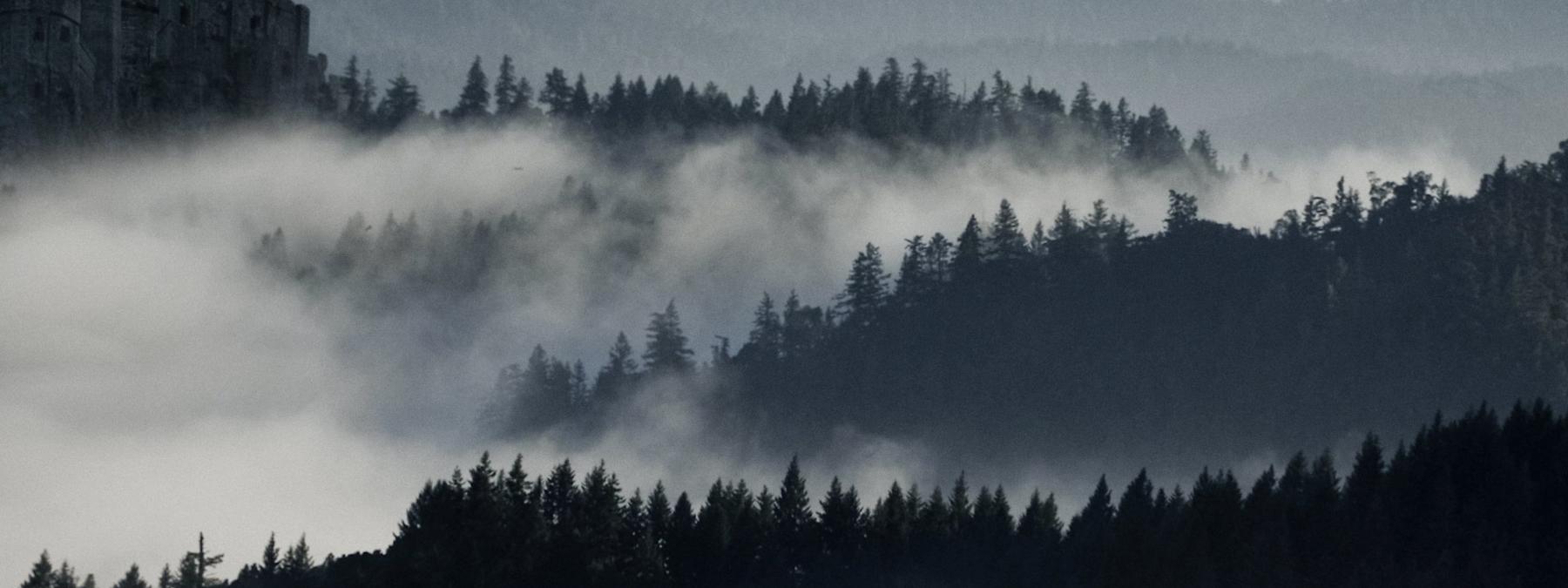 غلاف فيلم The Head Hunter 2019 مترجم