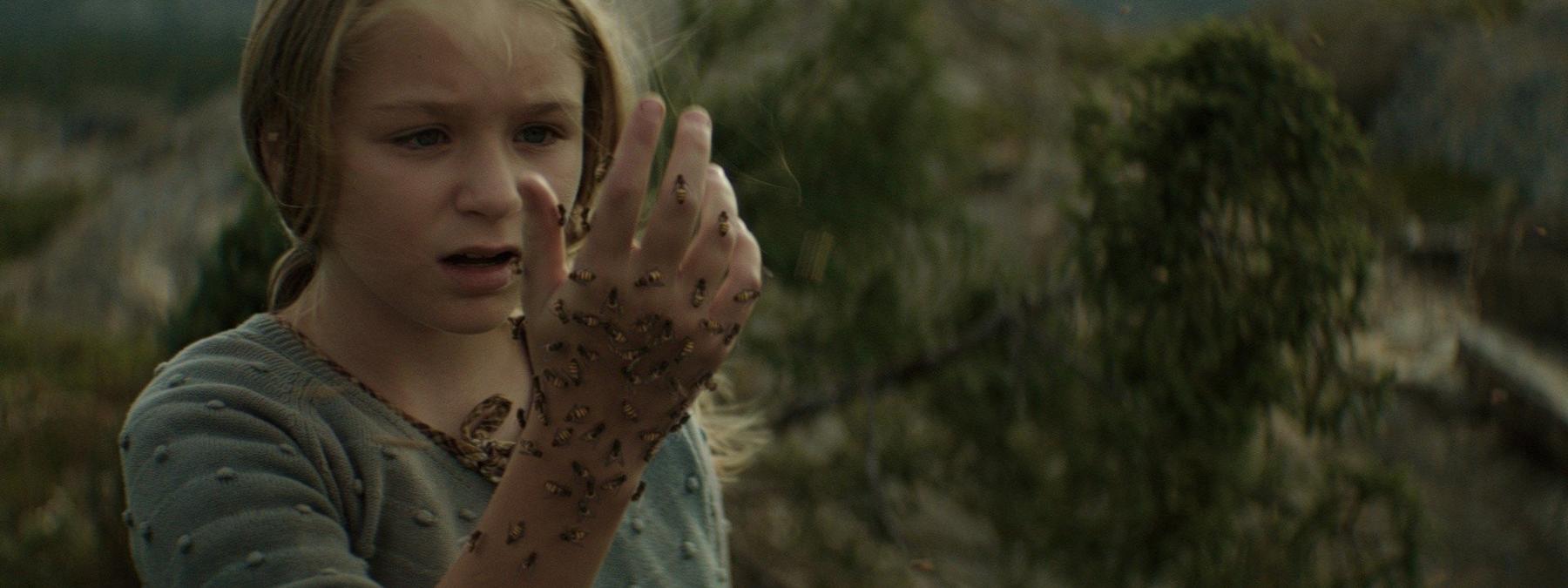 غلاف فيلم The King Tide 2024 مترجم