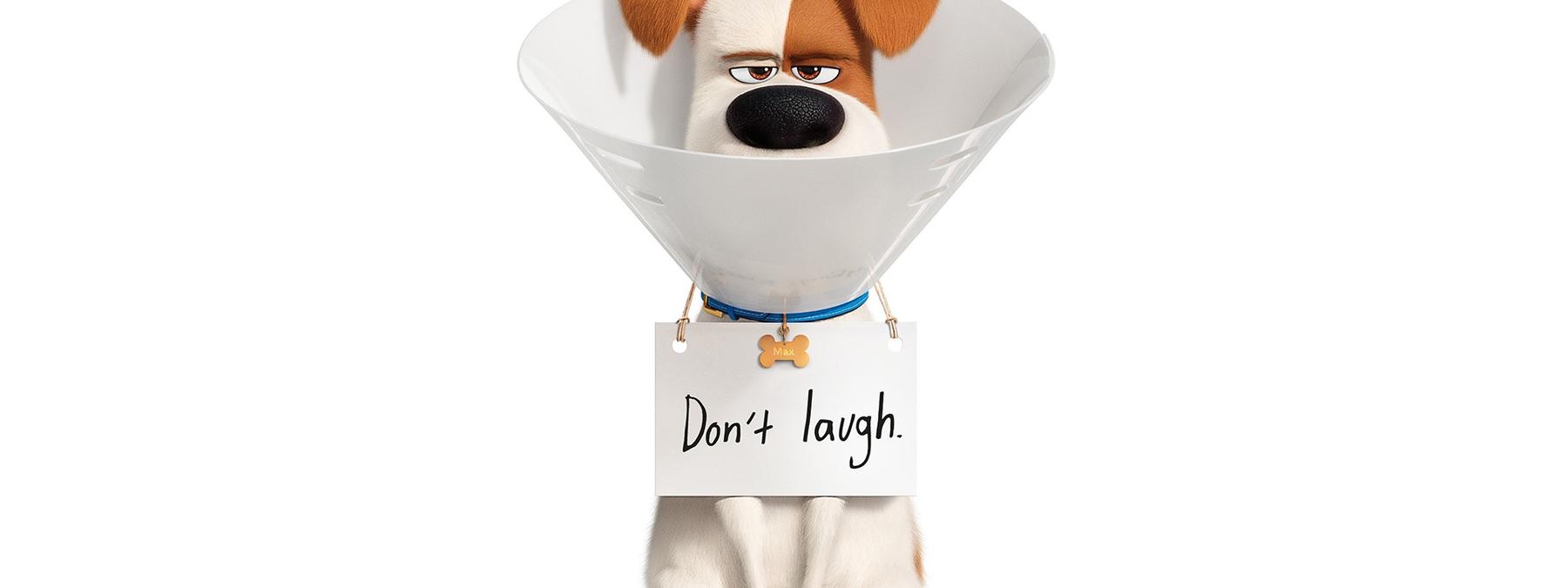غلاف فيلم The Secret Life of Pets 2 2019 مترجم