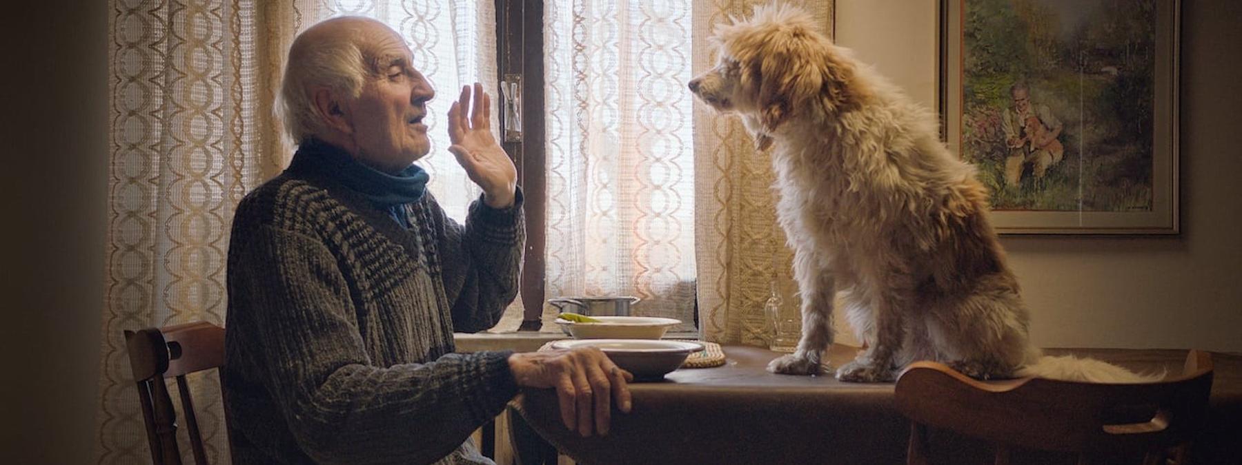 غلاف فيلم The Truffle Hunters 2020 مترجم