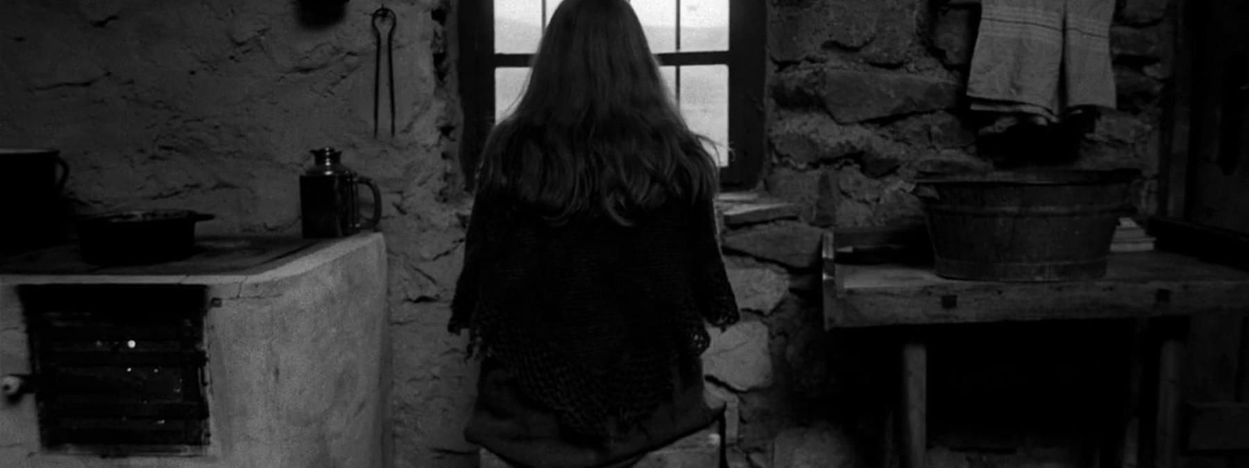 غلاف فيلم The Turin Horse 2011 مترجم