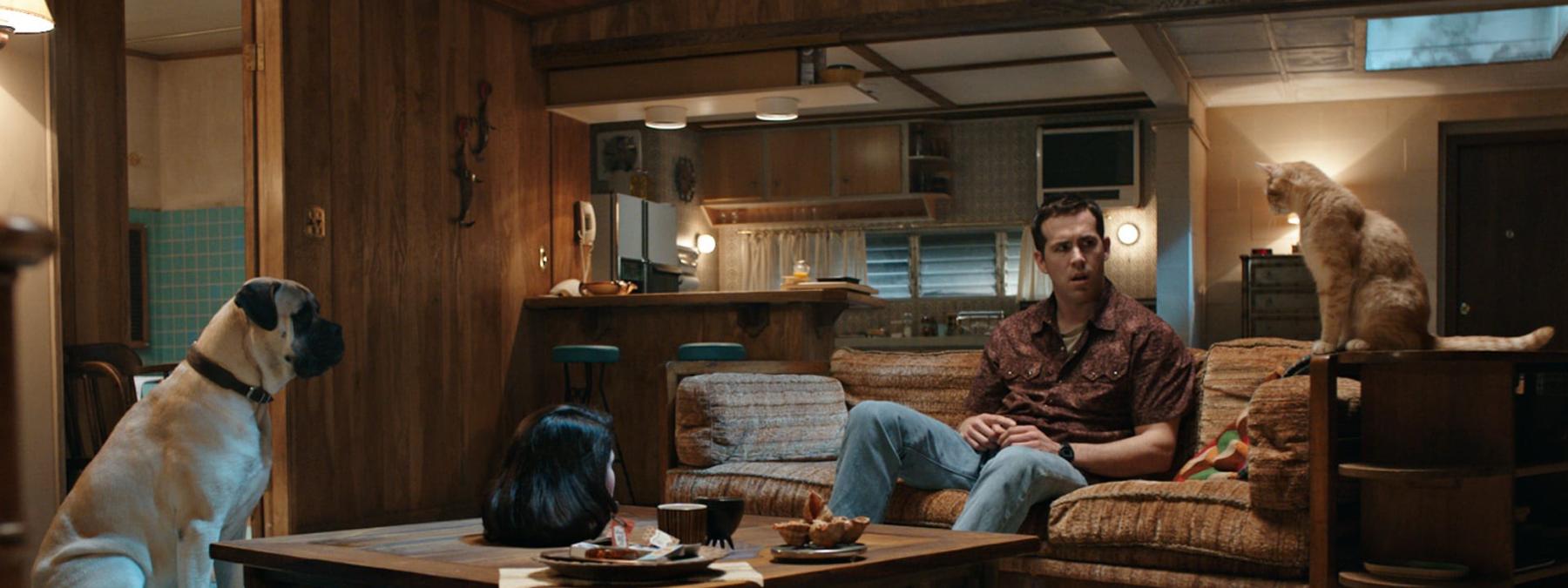 غلاف فيلم The Voices 2014 مترجم